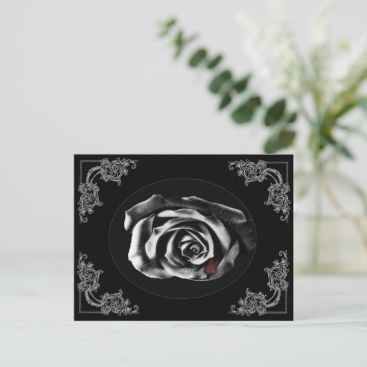 Postkarten für Gothic Vampire Black Rose (Stehend Vorderseite)