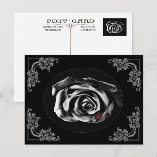 Postkarten für Gothic Vampire Black Rose (Vorne/Hinten)