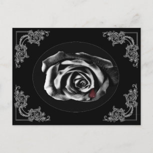 Postkarten für Gothic Vampire Black Rose