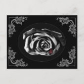 Postkarten für Gothic Vampire Black Rose (Vorderseite)