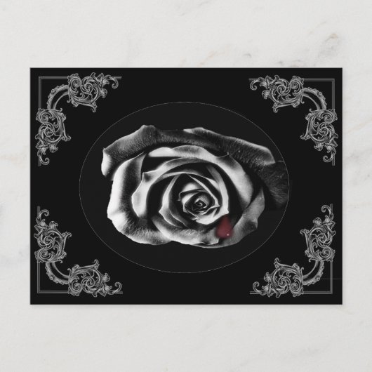 Postkarten für Gothic Vampire Black Rose (Vorderseite)