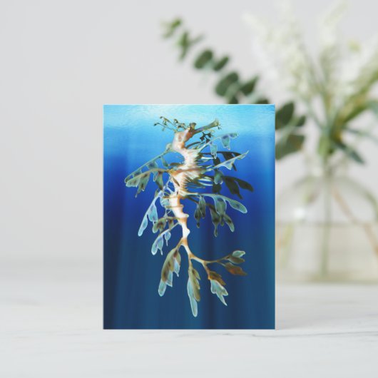 Postkarten für Leafy Sea Dragon (Stehend Vorderseite)