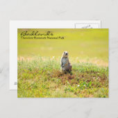 Postkarten für Norddakota (Vorne/Hinten)