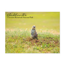 Postkarten für Norddakota