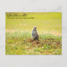 Postkarten für Norddakota