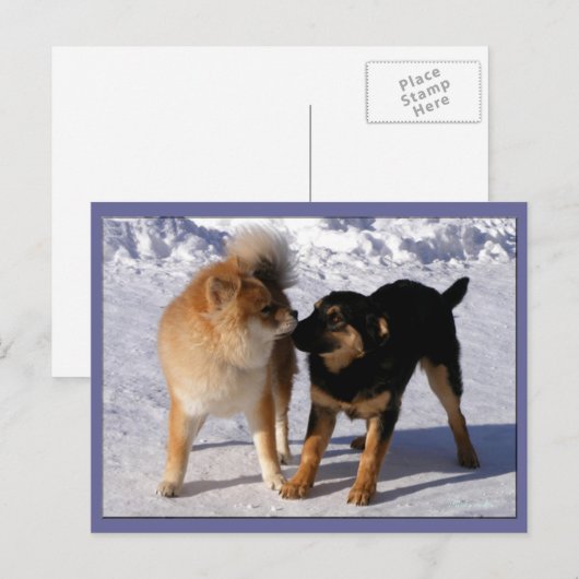 Postkarten für Puppy-Play-Karten (Vorne/Hinten)