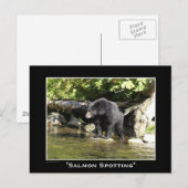 Postkarten für schwarze Bären (Vorne/Hinten)