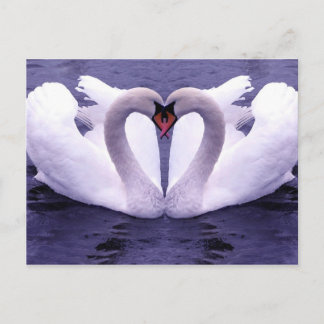 Postkarten für Tiere 30