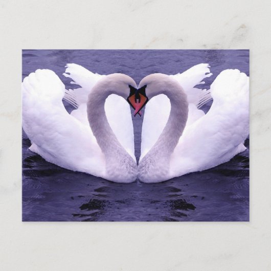 Postkarten für Tiere 30 (Vorderseite)