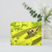 Postkarten für Tiere 34 (Stehend Vorderseite)