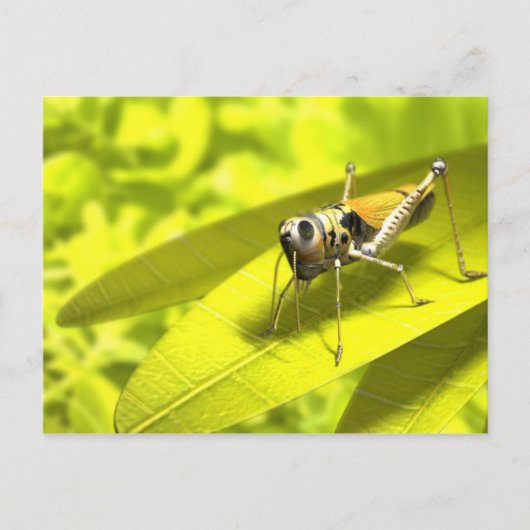 Postkarten für Tiere 34 (Vorderseite)