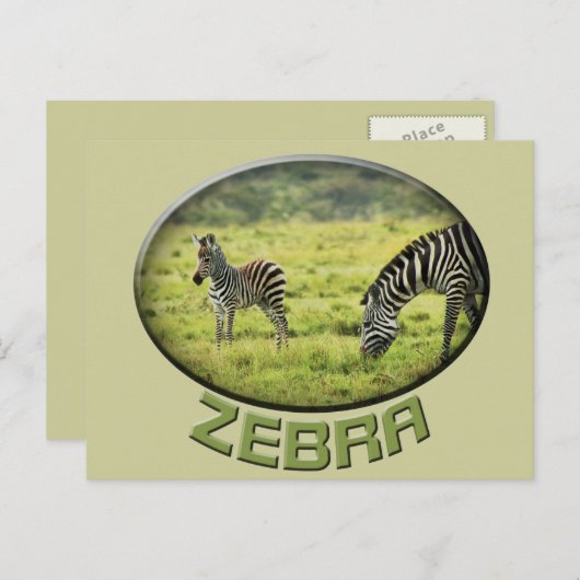 Postkarten für Tiersafaris von Zebra und Zebra foa (Vorne/Hinten)