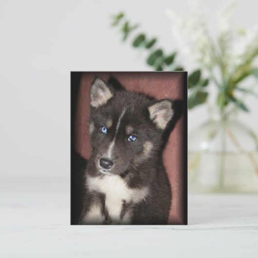 Postkarten für Welpen (Stehend Vorderseite)