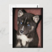 Postkarten für Welpen (Vorne/Hinten)