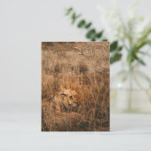 Postkarten für wild lebende Tiere von männlichen L (Stehend Vorderseite)