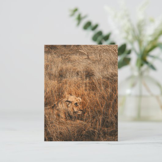 Postkarten für wild lebende Tiere von männlichen L (Stehend Vorderseite)