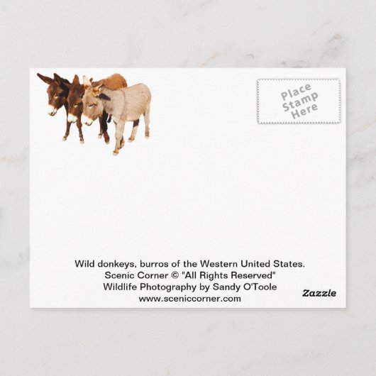 Postkarten für Wildtiere, Esel, Burros (Rückseite)