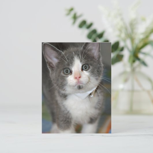 Postkarten Grau/Silber/Grau und Weiß (Stehend Vorderseite)