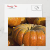 Postkarten:  Great Pumpkin Postkarte (Vorne/Hinten)