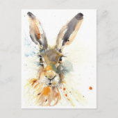 Postkarten - Hare Today Gone Tomorrow! (Vorderseite)