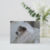 Postkarten höchster Qualität (Stehend Vorderseite)