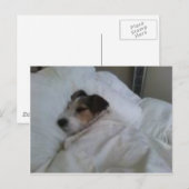 Postkarten höchster Qualität (Vorne/Hinten)