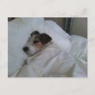 Postkarten höchster Qualität