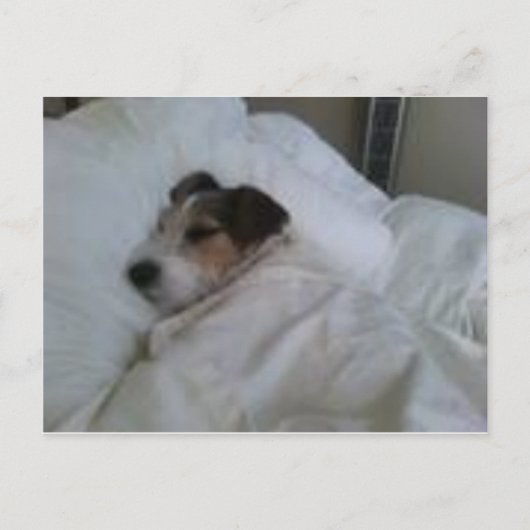 Postkarten höchster Qualität (Vorderseite)