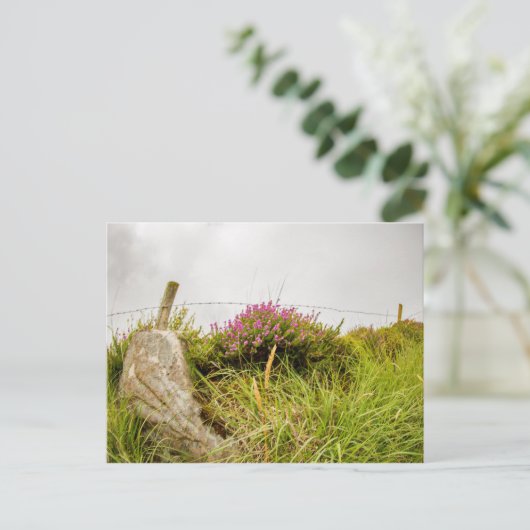 Postkarten "Irish Heather" (Stehend Vorderseite)