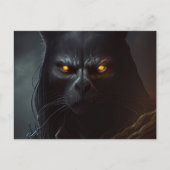 Postkarten Kapuzenkatze (Vorderseite)