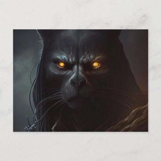 Postkarten Kapuzenkatze (Vorderseite)