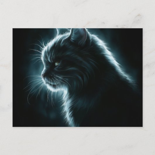 Postkarten Katze Serie 12 (Vorderseite)