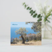 Postkarten Mallorca (Stehend Vorderseite)