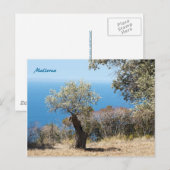 Postkarten Mallorca (Vorne/Hinten)