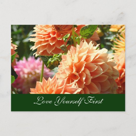 Postkarten Mammogramm Liebe Sie selbst zuerst (Vorderseite)