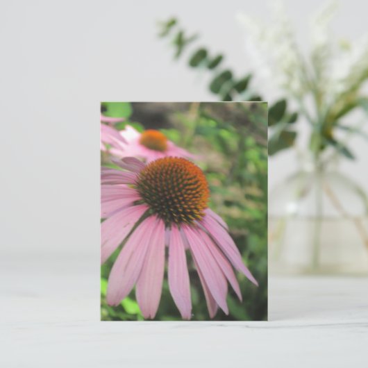 Postkarten mit rosa Konfettlinie (Stehend Vorderseite)