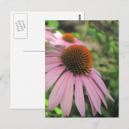 Postkarten mit rosa Konfettlinie (Vorne/Hinten)