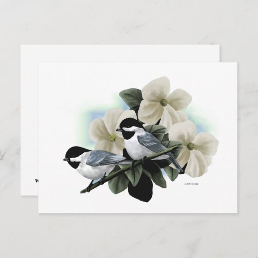 Postkarten mit schwarzen Karten (Vorne/Hinten)