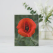 Postkarten-Mohn-Fotografie Postkarte (Stehend Vorderseite)