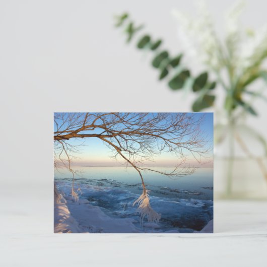 Postkarten, Ontariosee, Eiskalt. Postkarte (Stehend Vorderseite)