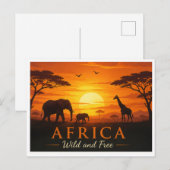 Postkarten-Safari Feiertagspostkarte (Vorne/Hinten)