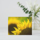 Postkarten-Sonnenblume Eleganz Postkarte (Stehend Vorderseite)