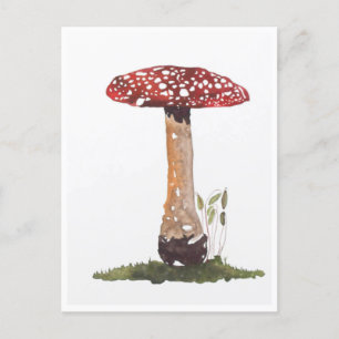 Postkarten - Studie Fly Agaric Mushroom Watercolor