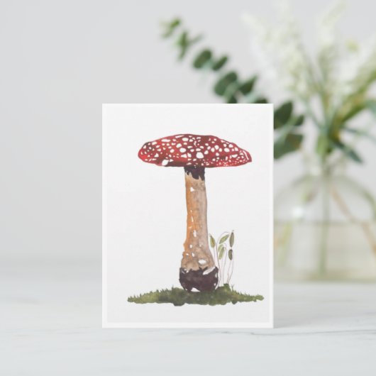 Postkarten - Studie Fly Agaric Mushroom Watercolor (Stehend Vorderseite)