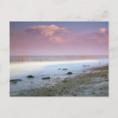 Postkarten "The Norfolk Coast" (Vorderseite)