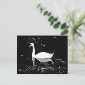 Postkarten-Tiere-23 Postkarte (Stehend Vorderseite)