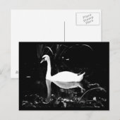 Postkarten-Tiere-23 Postkarte (Vorne/Hinten)