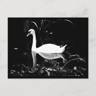 Postkarten-Tiere-23 Postkarte