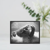 Postkarten-Tiere-33 Postkarte (Stehend Vorderseite)