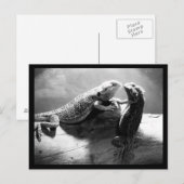 Postkarten-Tiere-33 Postkarte (Vorne/Hinten)